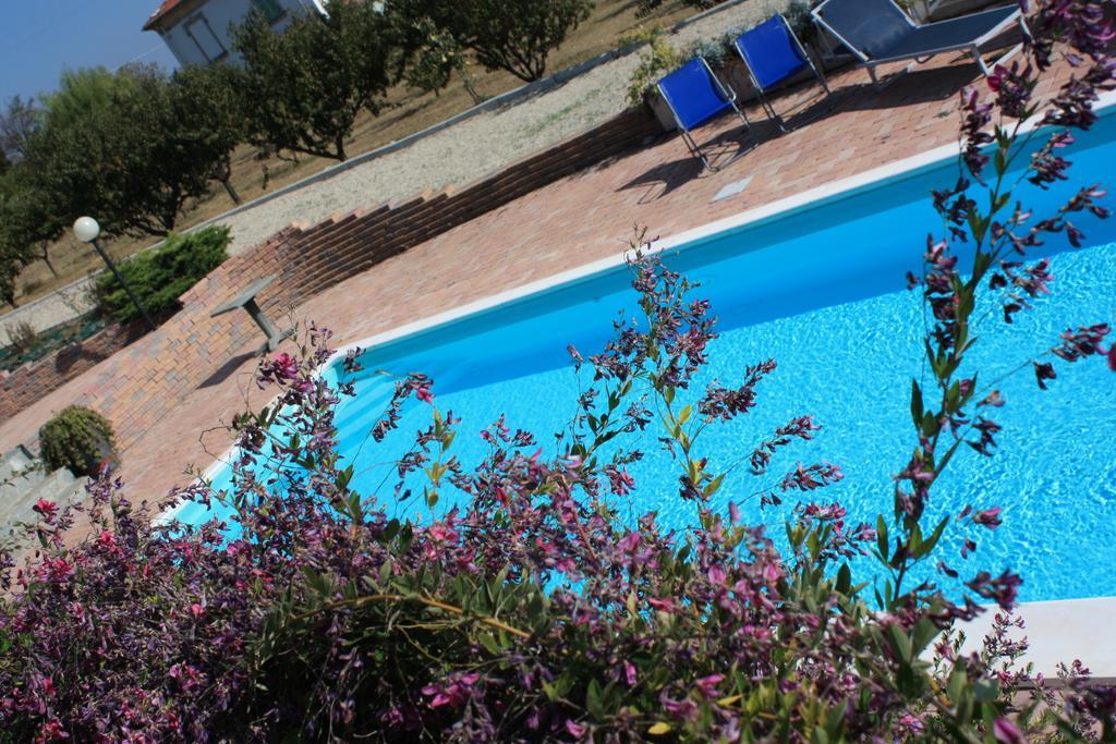 B&B La Casetta Villaromagnano 外观 照片