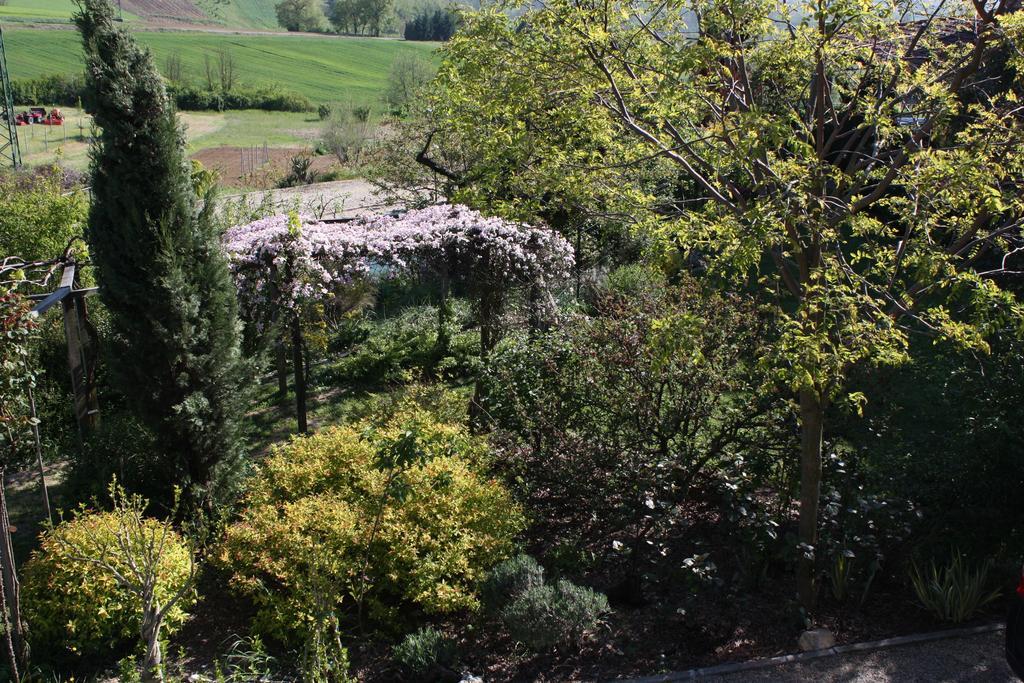 B&B La Casetta Villaromagnano 外观 照片